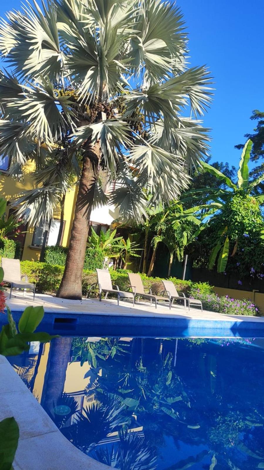 Vila Casa Sueno Colibri Tamarindo Exteriér fotografie